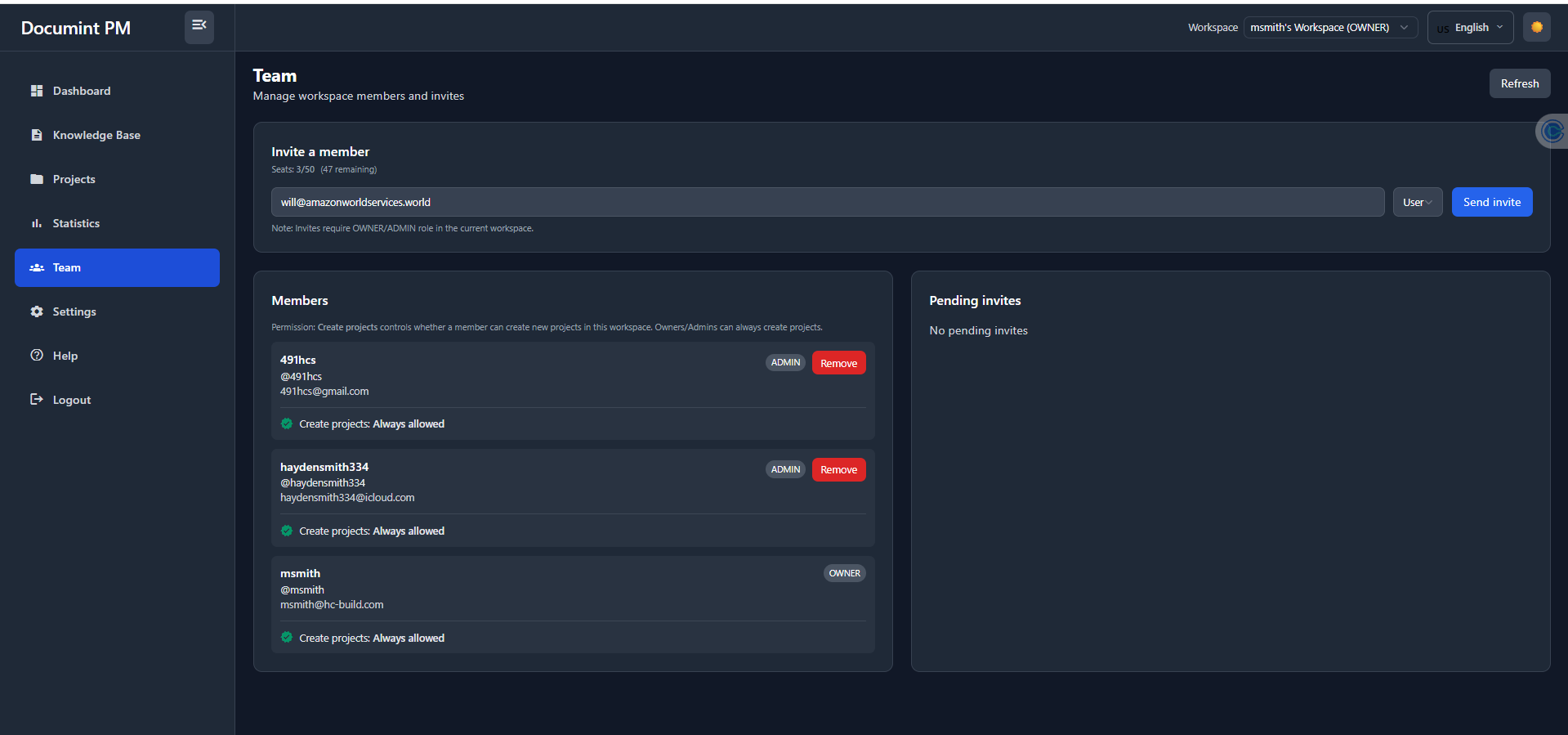 DPM Team invite panel showing workspace member invitation and permission controls